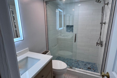 Bathroom - contemporary bathroom idea in DC Metro
