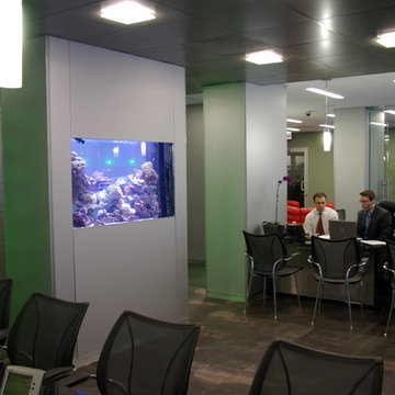 A portfolio of custom aquariums from our 17+ year history.