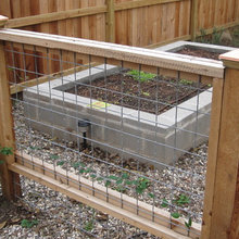 Beth's dog fence