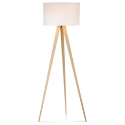 Modern Floor Lamps by Houzz