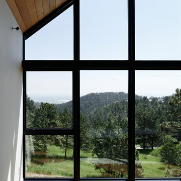 Pine Tree House