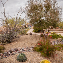 Pajodo Front Yard