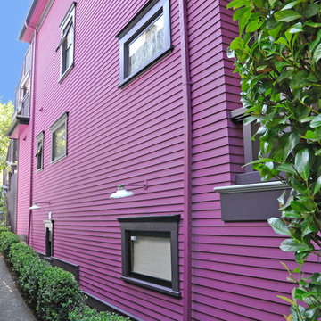 The Purple Painted Lady