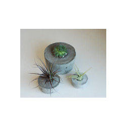 Handmade Concrete Planters - Outdoor Decor