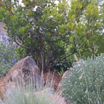 Campbell, CA - Wildlife Habitat