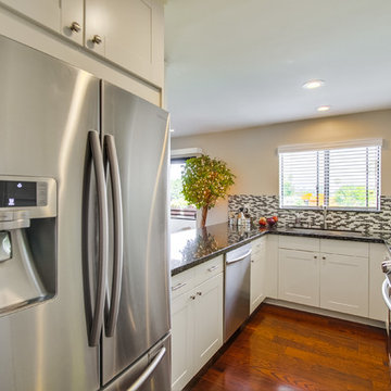 Tikker/Wicen Kitchen Remodel - Centinela