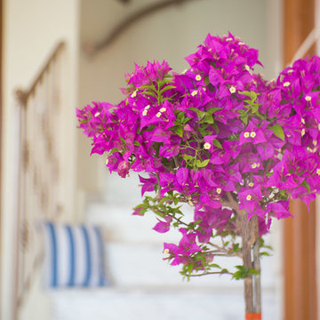 Villa Christos
