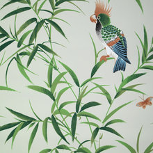 christine_costa's ideas