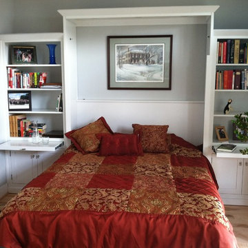 Murphy Bed Ideas