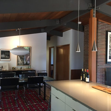 South Hills Mid-Century Remodel