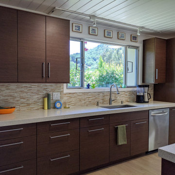San Rafael Eichler Kitchen and Home Remodel