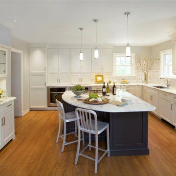 Alexandria Virginia Kitchen Renovation