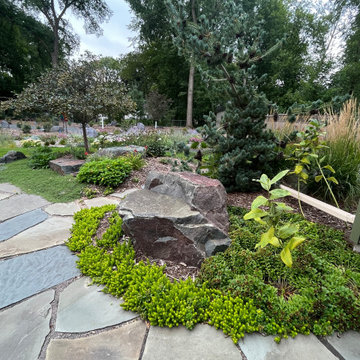 Suburban Backyard Sustainable Gardens