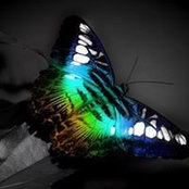 Foto von Loredana Ginsca