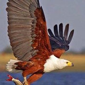 Jan Bowsher's photo