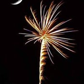 Michelle Brooks Farley's photo