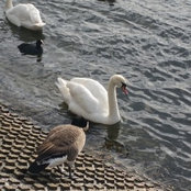 Foto von Joanne Grima