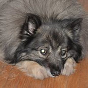 Donna Pawchuk's photo