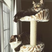 Suzie Millette's photo