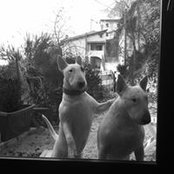 Alessia R.'s photo