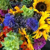 Janine Reale's photo