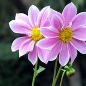 Nita Baker's photo