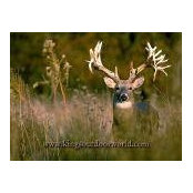 Benjamin Reid's photo