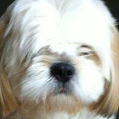 Kerri Coughlan's photo