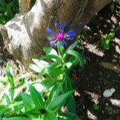 VRP's photo
