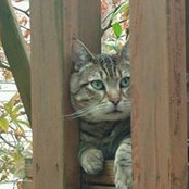 Elizabeth Wallenderさんの写真