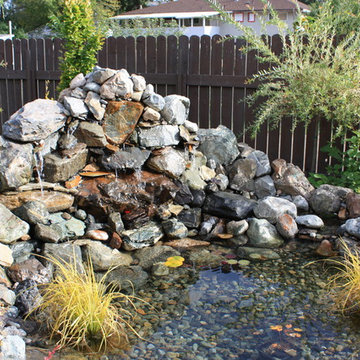Water Features & Ponds
