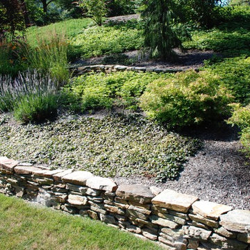 Hardscape's