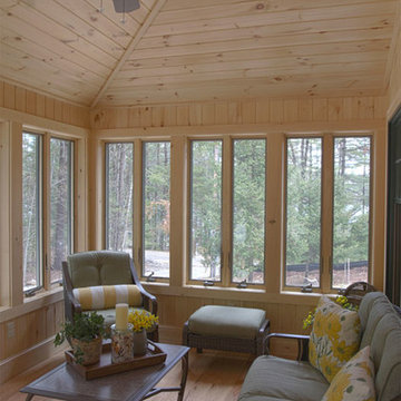 Eastern White Pine