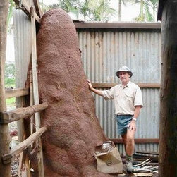 Termite Relief - Outdoor Products