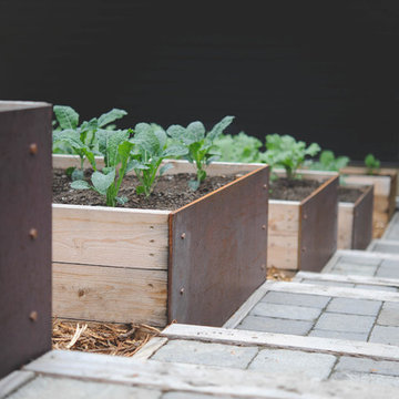 Mercer Island Production Garden and Native Landscape-In Process