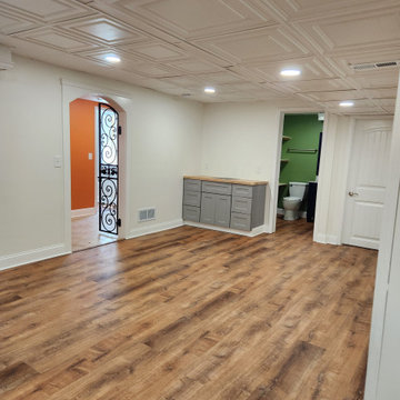Basement Remodel