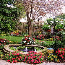 yard