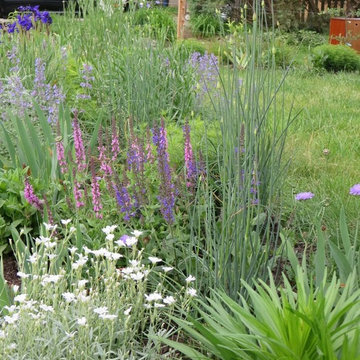 Garden with edible fence and native flowers