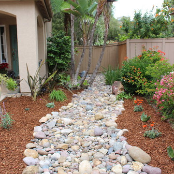 Dry River Bed