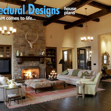 Living Room Ideas