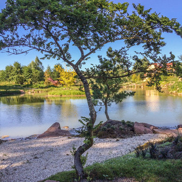 Etang jardin japonais