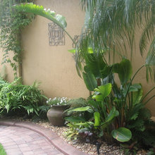fountain scheme