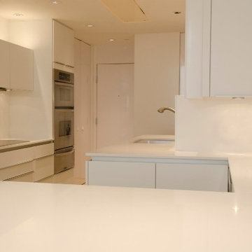Galleria, high-rise Poggenpohl kitchen renovation in the Four Leaf Towers