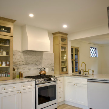 Luxury Kitchen Remodel