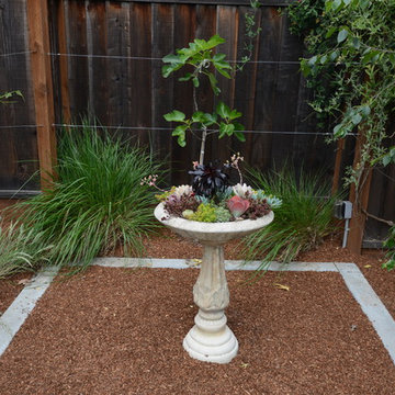 2016 Gamble Garden Tour - Bowdoin