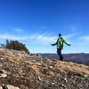 Sarah Harling's photo
