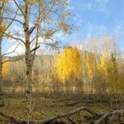 Foto von Brian Holleman
