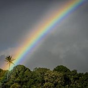 Steven Lai's photo