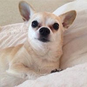 Courtney de Fer's photo