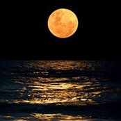 Danielle Evanson's photo